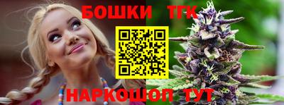 индика Малгобек