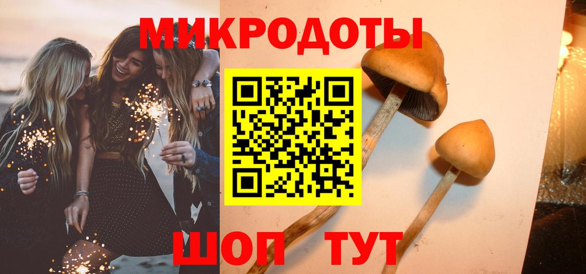 Галлюциногенные грибы Psilocybe Верхняя Салда
