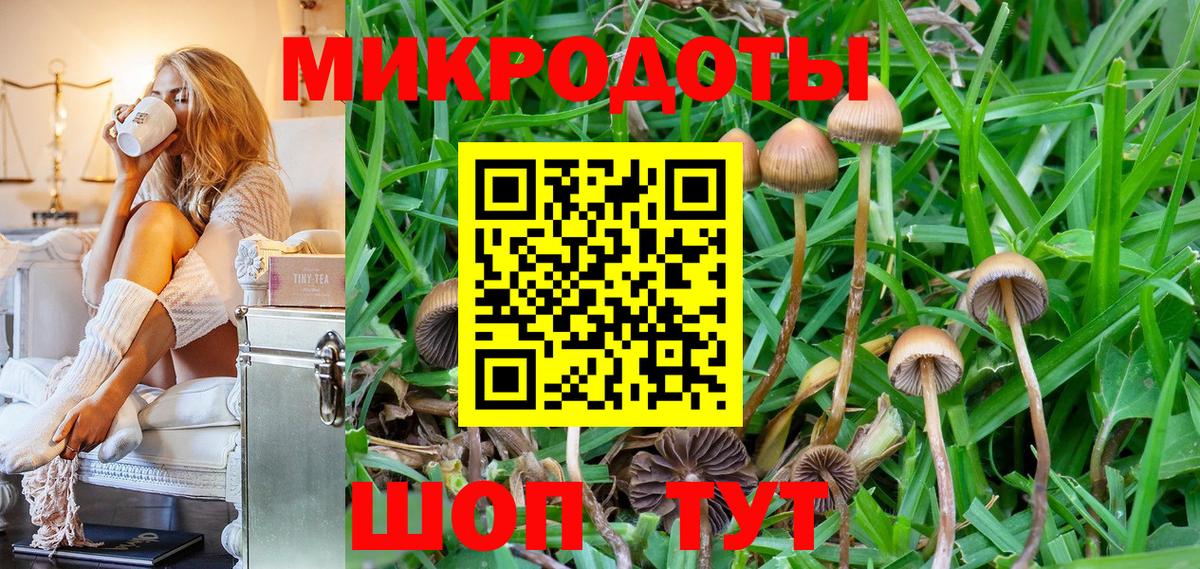 Галлюциногенные грибы Cubensis  Вход с VPN  Верхняя Салда 